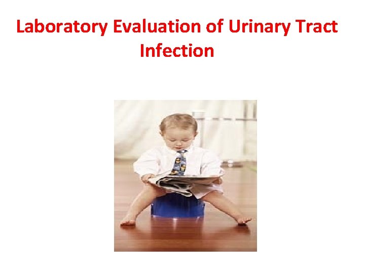 Laboratory Evaluation of Urinary Tract Infection 