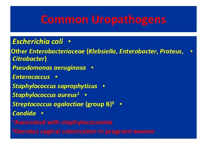 Common Uropathogens Escherichia coli • Other Enterobacteriaceae (Klebsiella, Enterobacter, Proteus, • Citrobacter) Pseudomonas aeruginosa