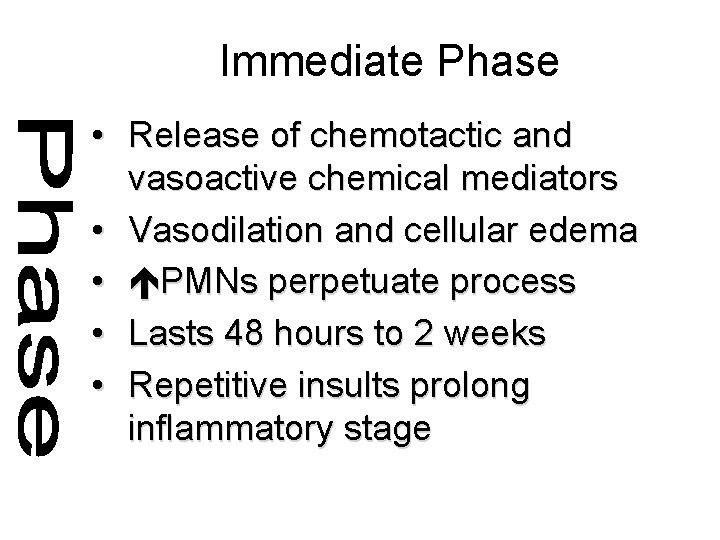 Immediate Phase • Release of chemotactic and vasoactive chemical mediators • Vasodilation and cellular