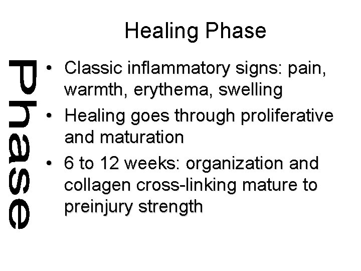 Healing Phase • Classic inflammatory signs: pain, warmth, erythema, swelling • Healing goes through