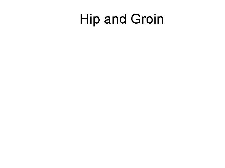 Hip and Groin 