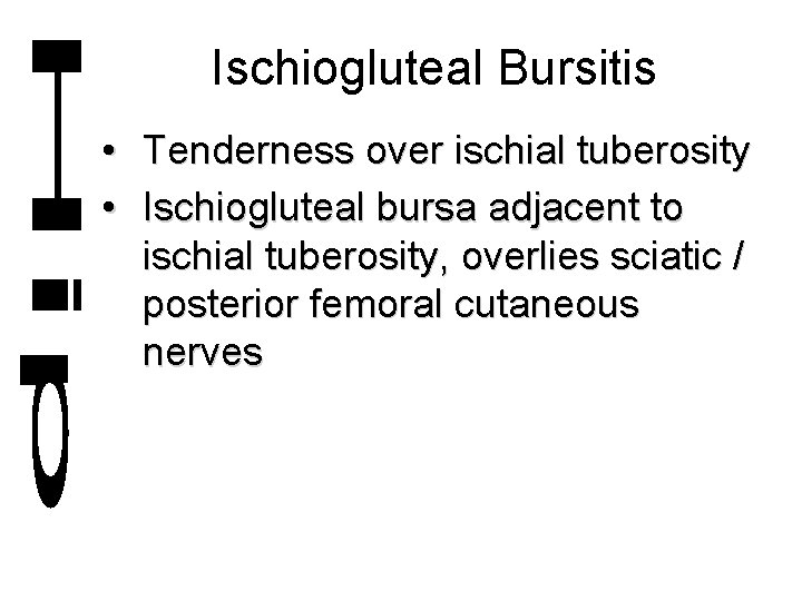 Ischiogluteal Bursitis • Tenderness over ischial tuberosity • Ischiogluteal bursa adjacent to ischial tuberosity,