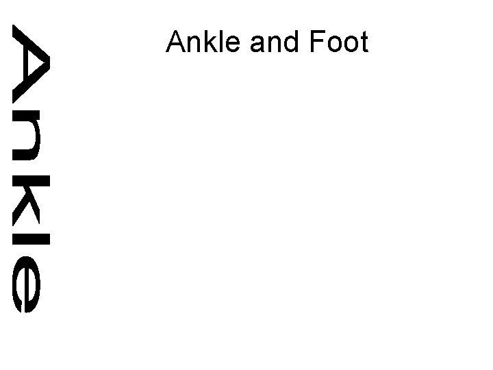 Ankle and Foot 