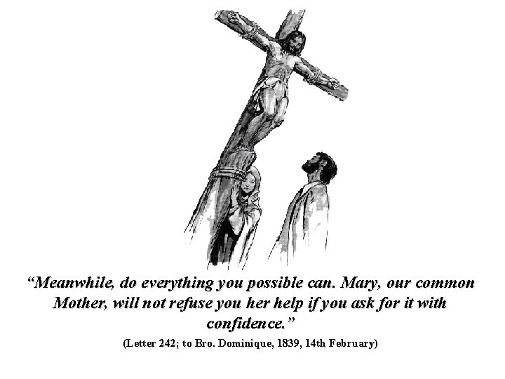 “Meanwhile, do everything you possible can. Mary, our common Mother, will not refuse you