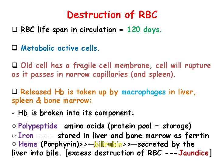 Destruction of RBC q RBC life span in circulation = 120 days. q Metabolic