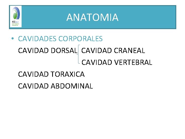 ANATOMIA • CAVIDADES CORPORALES CAVIDAD DORSAL CAVIDAD CRANEAL CAVIDAD VERTEBRAL CAVIDAD TORAXICA CAVIDAD ABDOMINAL