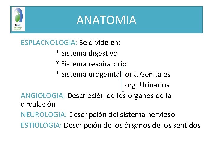 ANATOMIA ESPLACNOLOGIA: Se divide en: * Sistema digestivo * Sistema respiratorio * Sistema urogenital