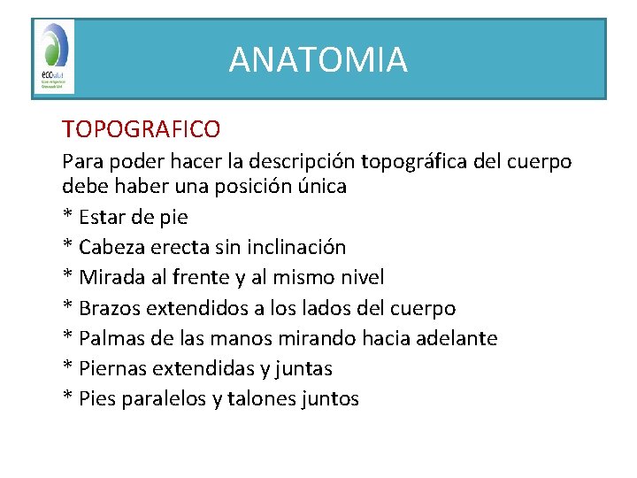 ANATOMIA TOPOGRAFICO Para poder hacer la descripción topográfica del cuerpo debe haber una posición