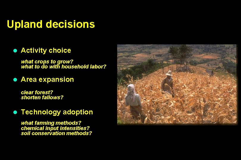 Upland decisions l Activity choice what crops to grow? what to do with household