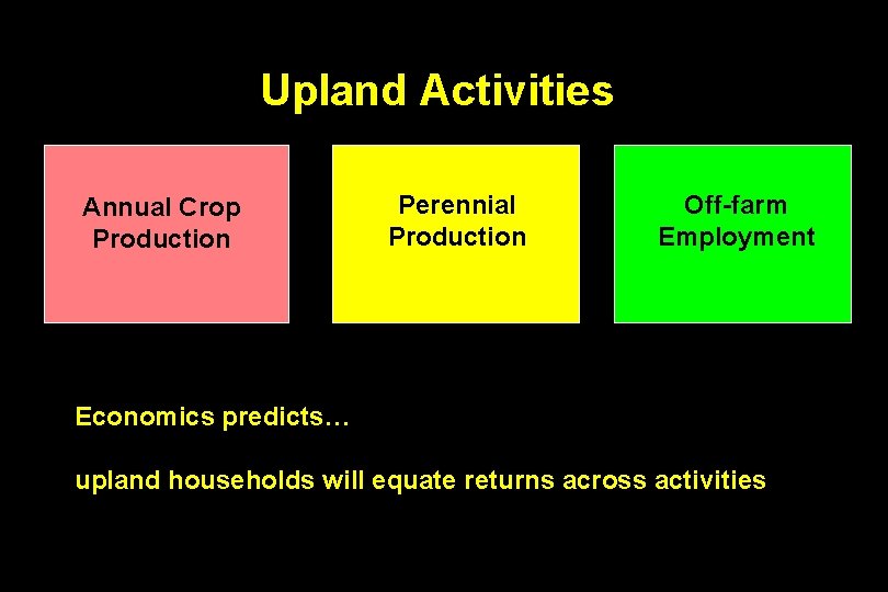 Upland Activities Annual Crop Production Perennial Production Off-farm Employment Economics predicts… upland households will