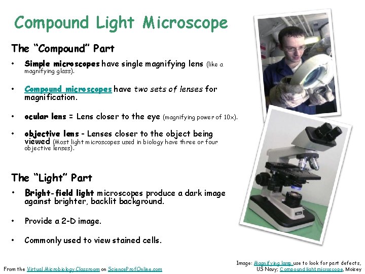 Compound Light Microscope The “Compound” Part • Simple microscopes have single magnifying lens •