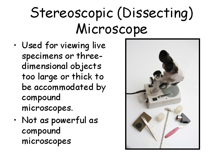 Stereoscopic (Dissecting) Microscope • Used for viewing live specimens or threedimensional objects too large