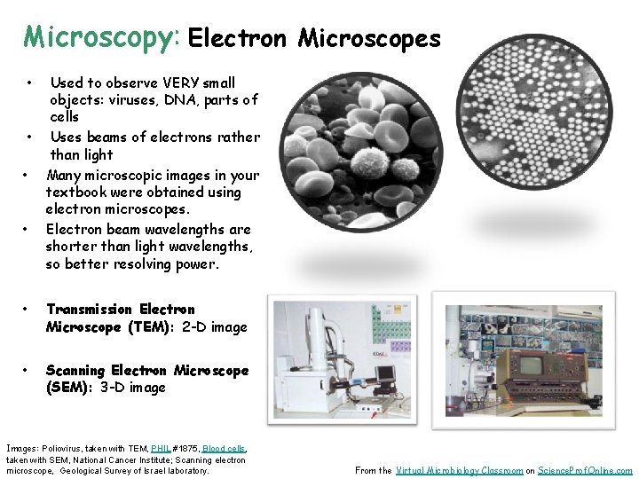 Microscopy: Electron Microscopes • • Used to observe VERY small objects: viruses, DNA, parts
