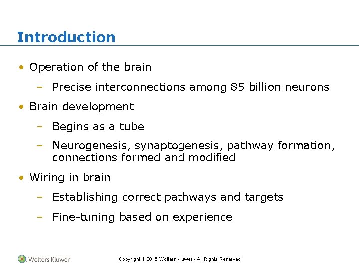 Introduction • Operation of the brain – Precise interconnections among 85 billion neurons •