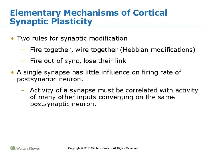 Elementary Mechanisms of Cortical Synaptic Plasticity • Two rules for synaptic modification – Fire