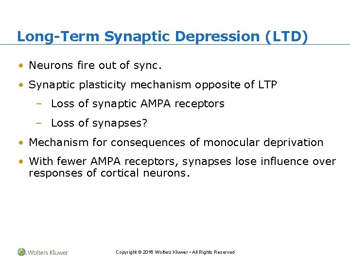 Long-Term Synaptic Depression (LTD) • Neurons fire out of sync. • Synaptic plasticity mechanism