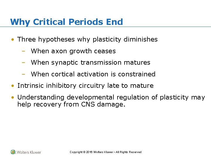 Why Critical Periods End • Three hypotheses why plasticity diminishes – When axon growth