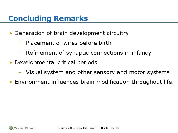 Concluding Remarks • Generation of brain development circuitry – Placement of wires before birth