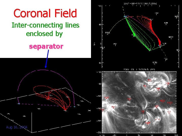 Coronal Field Inter-connecting lines enclosed by separator Aug 16, 2004 