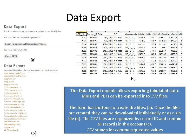 Data Export (a) (c) The Data Export module allows exporting tabulated data. MRIs and
