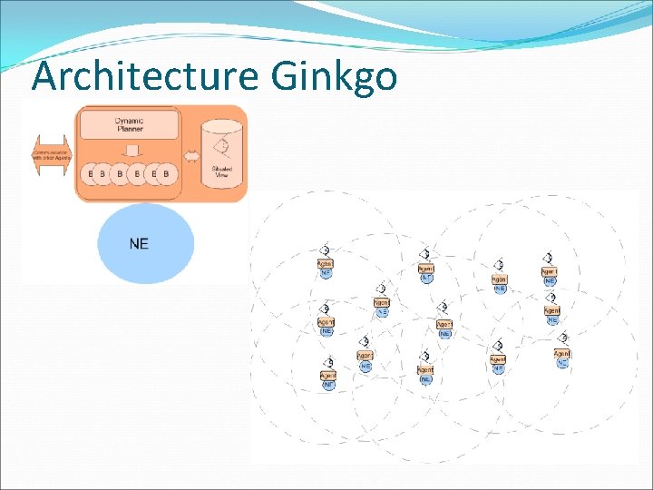 Architecture Ginkgo 