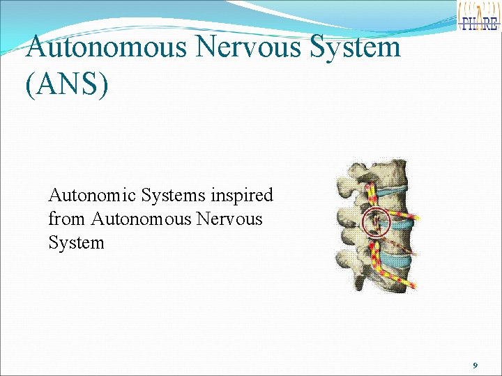 Autonomous Nervous System (ANS) Autonomic Systems inspired from Autonomous Nervous System 9 