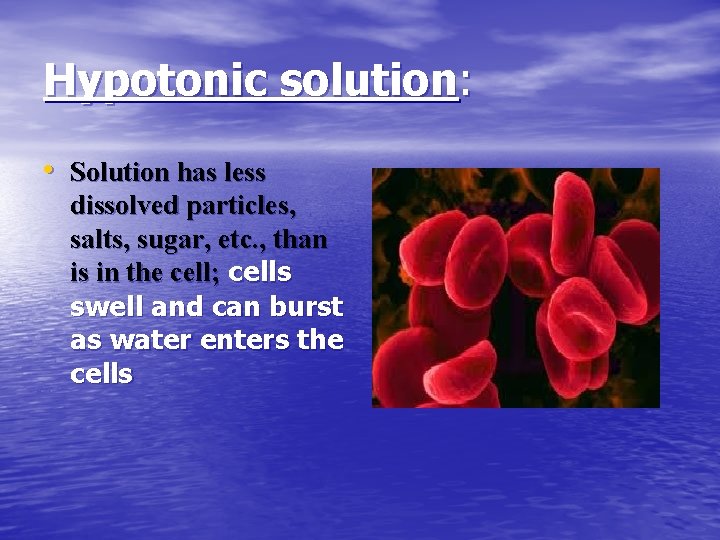 Hypotonic solution: • Solution has less dissolved particles, salts, sugar, etc. , than is