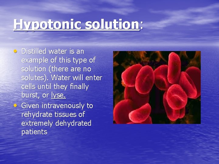 Hypotonic solution: • Distilled water is an • example of this type of solution