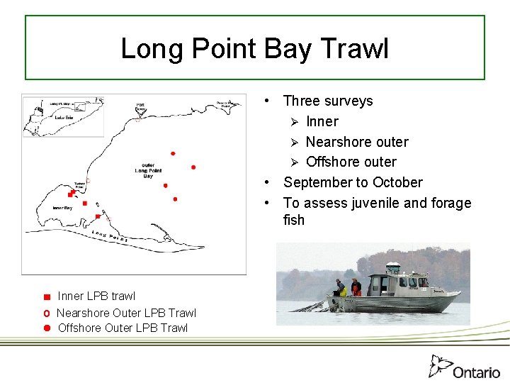 Long Point Bay Trawl • Three surveys Ø Inner Ø Nearshore outer Ø Offshore