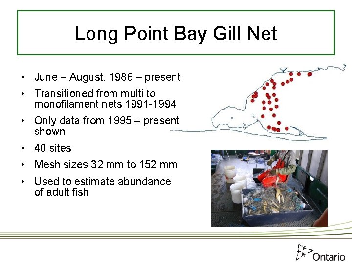 Long Point Bay Gill Net • June – August, 1986 – present • Transitioned