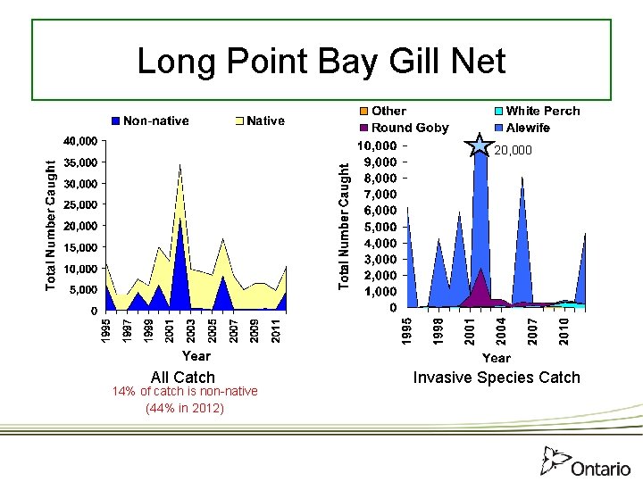 Long Point Bay Gill Net 20, 000 All Catch 14% of catch is non-native