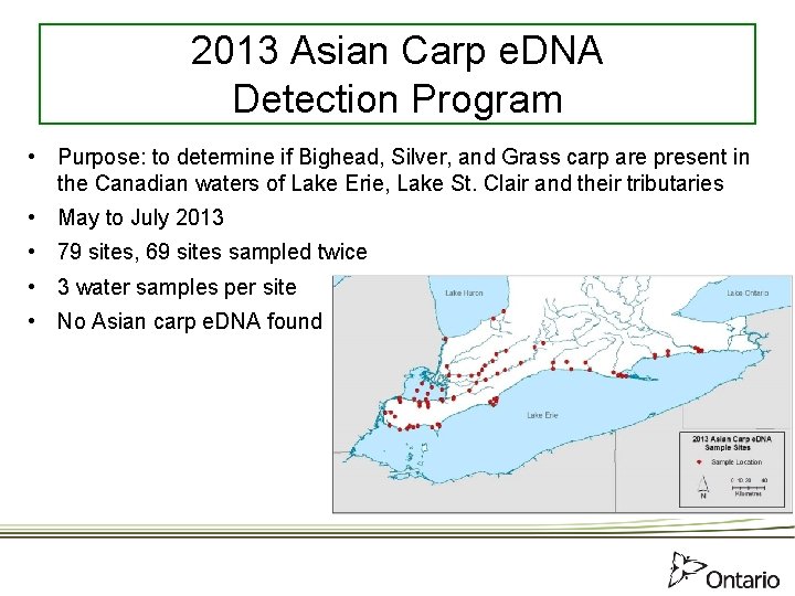 2013 Asian Carp e. DNA Detection Program • Purpose: to determine if Bighead, Silver,