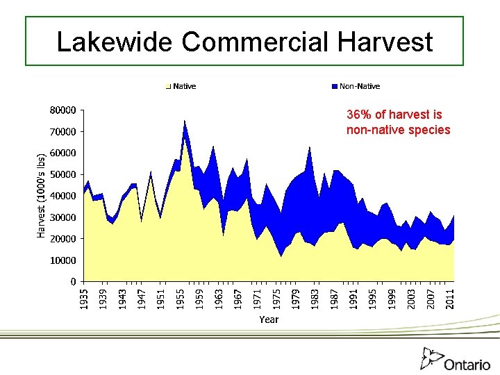 Lakewide Commercial Harvest 36% of harvest is non-native species 