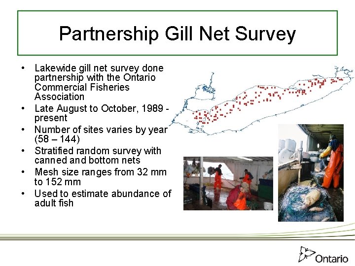 Partnership Gill Net Survey • Lakewide gill net survey done partnership with the Ontario