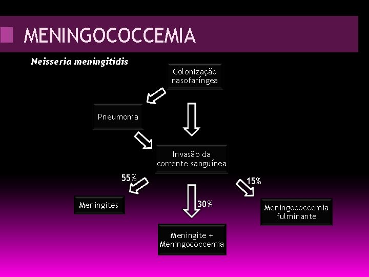 MENINGOCOCCEMIA Neisseria meningitidis Colonização nasofaríngea Pneumonia Invasão da corrente sanguínea 55% Meningites 15% 30%