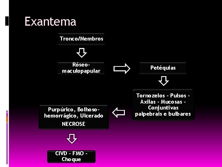 Exantema Tronco/Membros Róseomaculopapular Purpúrico, Bolhosohemorrágico, Ulcerado NECROSE CIVD – FMO Choque Petéquias Tornozelos –