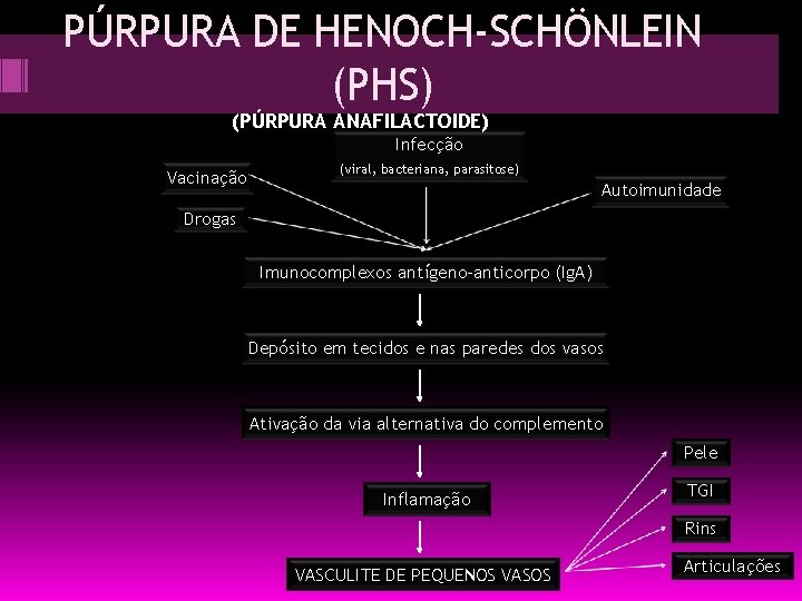 PÚRPURA DE HENOCH-SCHÖNLEIN (PHS) (PÚRPURA ANAFILACTOIDE) Infecção Vacinação (viral, bacteriana, parasitose) Autoimunidade Drogas Imunocomplexos