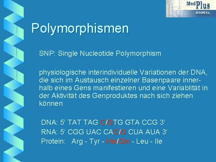 Polymorphismen SNP: Single Nucleotide Polymorphism physiologische interindividuelle Variationen der DNA, die sich im Austausch