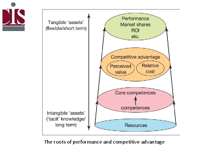The roots of performance and competitive advantage 
