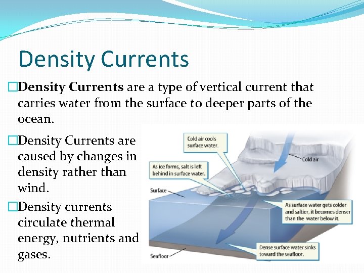 Density Currents �Density Currents are a type of vertical current that carries water from