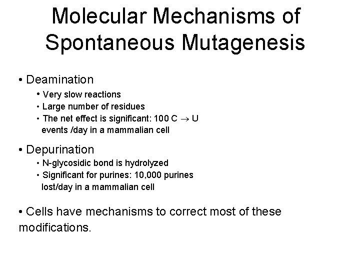 Molecular Mechanisms of Spontaneous Mutagenesis • Deamination • Very slow reactions • Large number