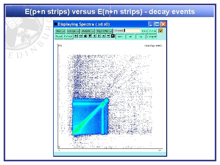 E(p+n strips) versus E(n+n strips) - decay events 
