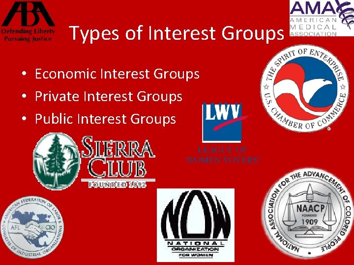 Types of Interest Groups • Economic Interest Groups • Private Interest Groups • Public