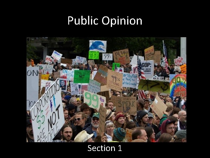 Public Opinion Section 1 