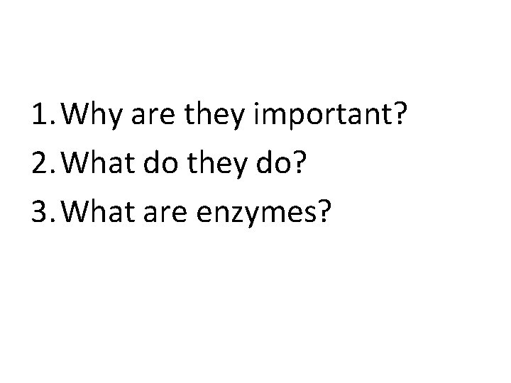 1. Why are they important? 2. What do they do? 3. What are enzymes?