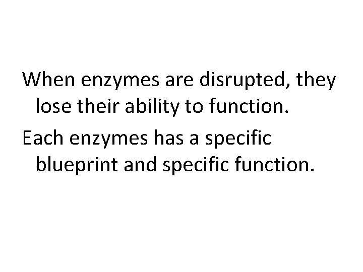 When enzymes are disrupted, they lose their ability to function. Each enzymes has a