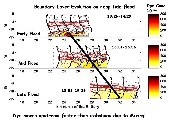 Boundary Layer Evolution on neap tide flood 13: 26 -14: 29 Early Flood 16: