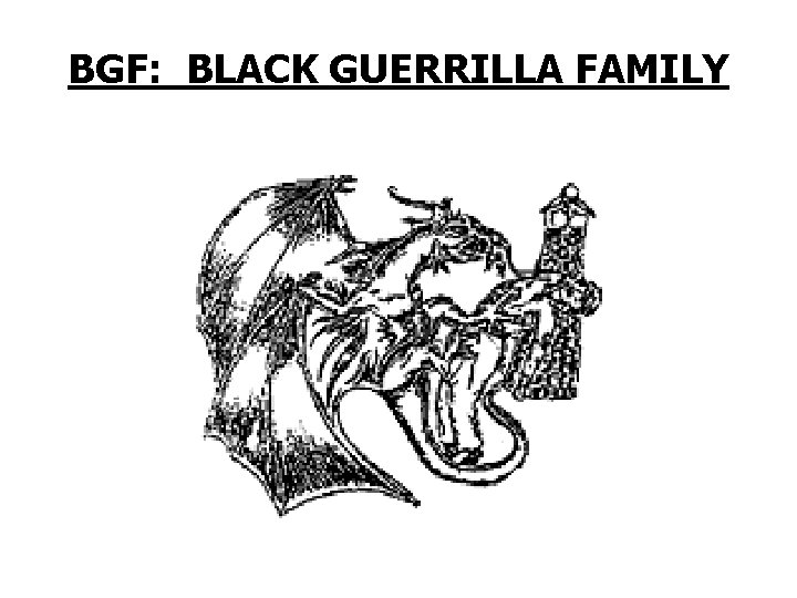 BGF: BLACK GUERRILLA FAMILY 