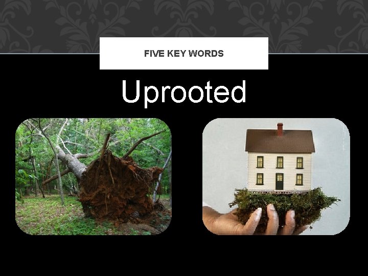 FIVE KEY WORDS Uprooted 