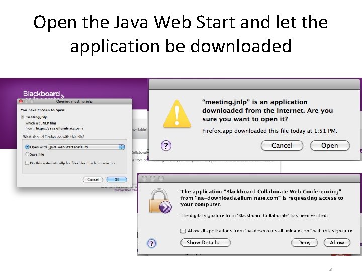 Open the Java Web Start and let the application be downloaded 